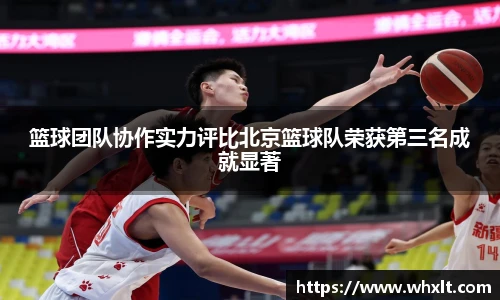 ob电竞官网入口