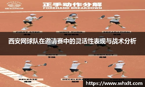 ob电竞官网入口